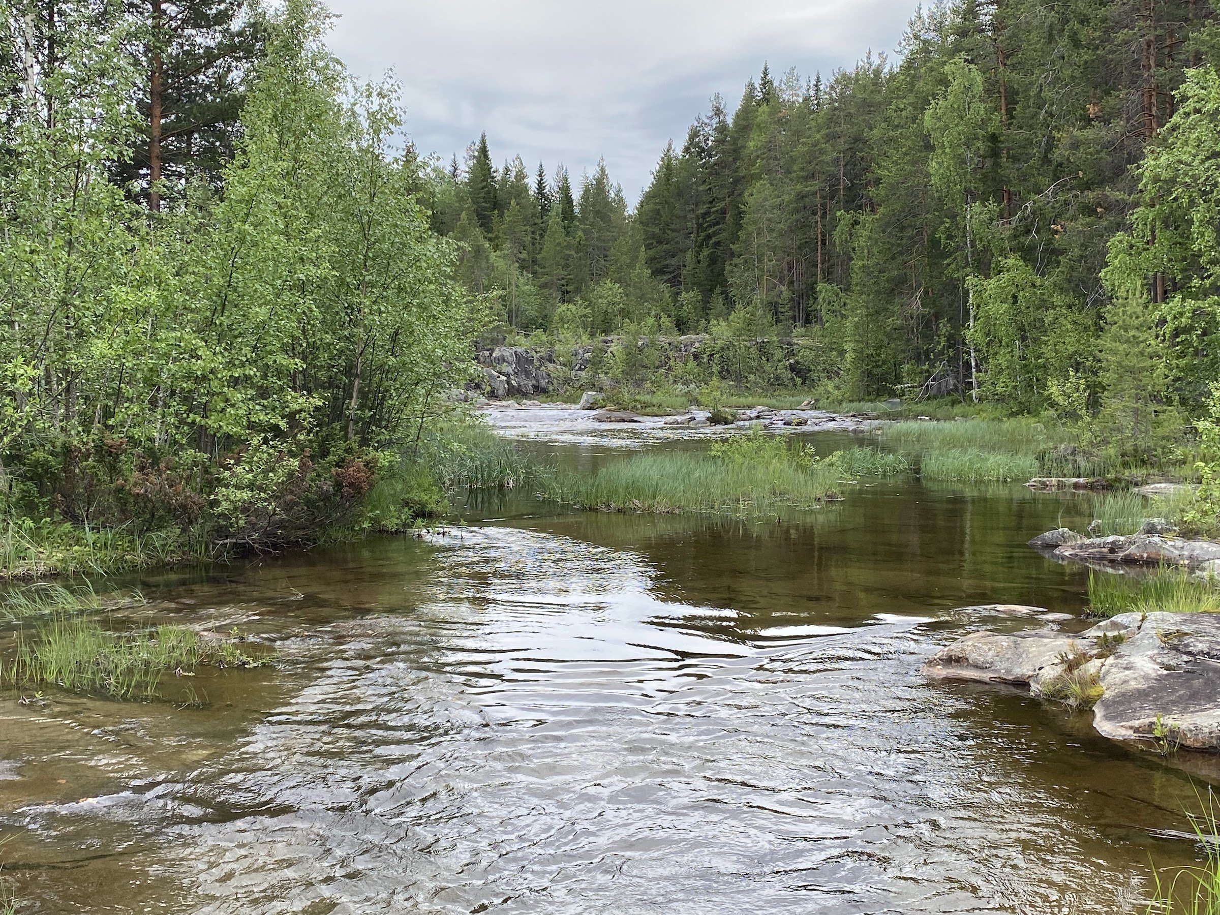 Storforsens nature reserve (Storforsen)